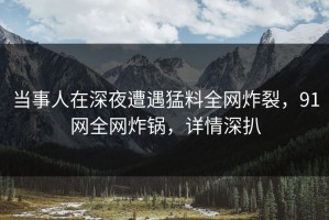 当事人在深夜遭遇猛料全网炸裂，91网全网炸锅，详情深扒