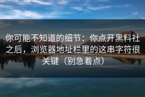 你可能不知道的细节：你点开黑料社之后，浏览器地址栏里的这串字符很关键（别急着点）