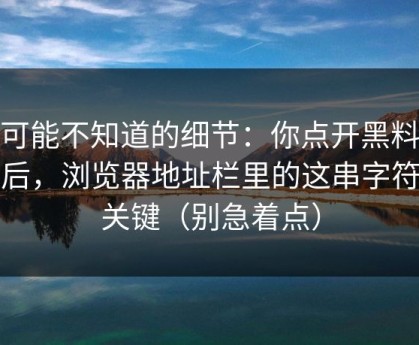 你可能不知道的细节：你点开黑料社之后，浏览器地址栏里的这串字符很关键（别急着点）