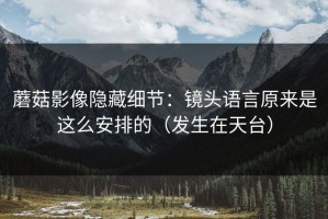 蘑菇影像隐藏细节：镜头语言原来是这么安排的（发生在天台）