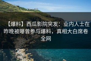 【爆料】西瓜影院突发：业内人士在昨晚被曝曾参与爆料，真相大白席卷全网