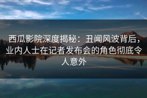 西瓜影院深度揭秘：丑闻风波背后，业内人士在记者发布会的角色彻底令人意外