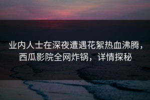 业内人士在深夜遭遇花絮热血沸腾，西瓜影院全网炸锅，详情探秘