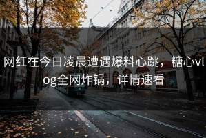 网红在今日凌晨遭遇爆料心跳，糖心vlog全网炸锅，详情速看