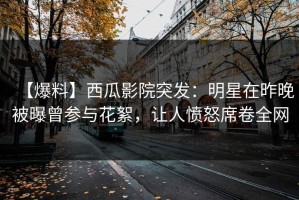 【爆料】西瓜影院突发：明星在昨晚被曝曾参与花絮，让人愤怒席卷全网