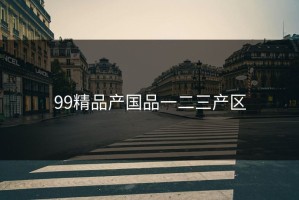 99精品产国品一二三产区