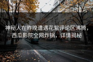 神秘人在昨晚遭遇花絮评论区沸腾，西瓜影院全网炸锅，详情揭秘