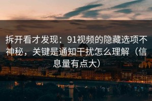 拆开看才发现：91视频的隐藏选项不神秘，关键是通知干扰怎么理解（信息量有点大）