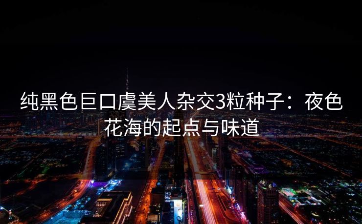 纯黑色巨口虞美人杂交3粒种子：夜色花海的起点与味道